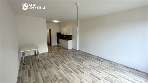 Pronájem bytu 1kk, 45 m² 6