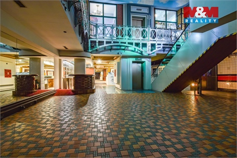 Pronájem obchodních prostor, 250 m² - 10