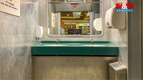 Pronájem obchodních prostor, 250 m² - 8