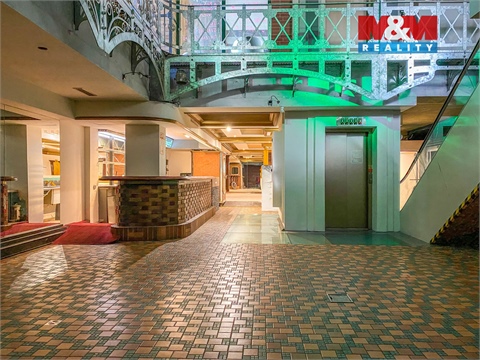 Pronájem obchodních prostor, 250 m² 2