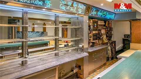 Pronájem obchodních prostor, 250 m² - 4