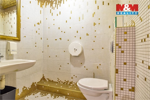 Pronájem obchodních prostor, 250 m² 16