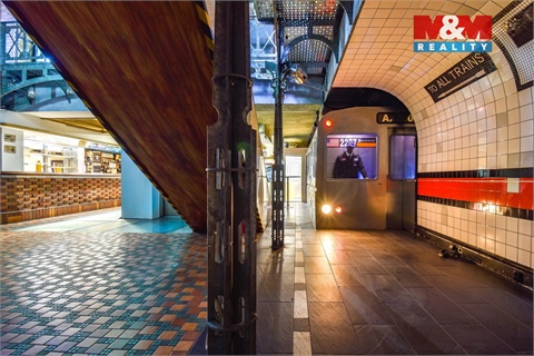 Pronájem obchodních prostor, 250 m² - 2