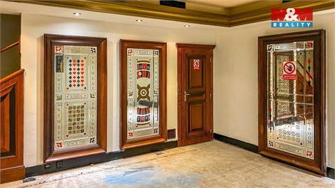 Pronájem obchodních prostor, 250 m² - 6