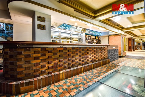 Pronájem obchodních prostor, 250 m² - 0