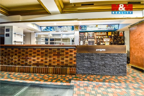 Pronájem obchodních prostor, 250 m² 14