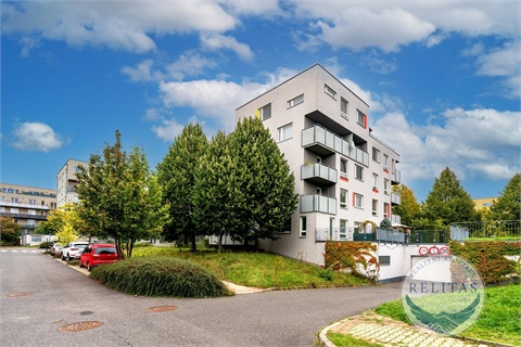 Pronájem bytu 3kk, 75 m² 20