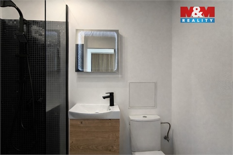 Prodej bytu 1+1, 29 m² 10