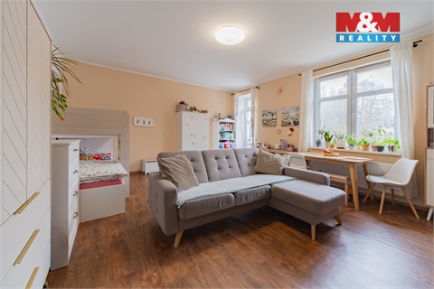 Prodej bytu 1+1, 56 m² 2