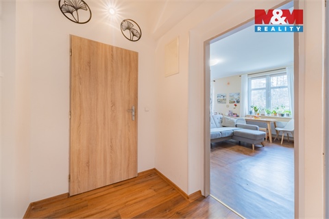 Prodej bytu 1+1, 56 m² 10