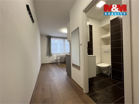 Pronájem bytu 1+1, 33 m² - 4