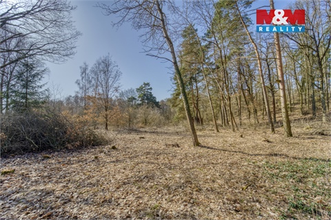 Prodej zahrady, 1 697 m² 4