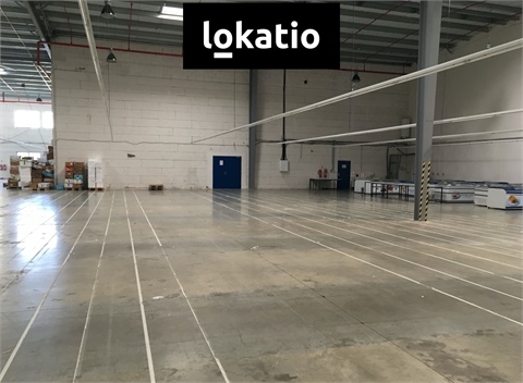 Pronájem skladu / haly, 2 905 m² - 4