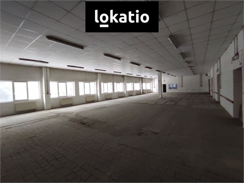 Pronájem skladu / haly, 1 244 m² - 0