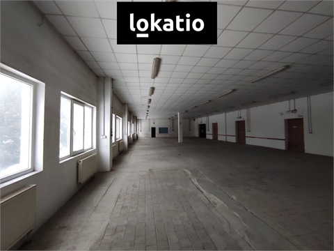Pronájem skladu / haly, 1 244 m² - 2