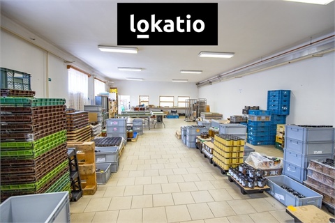 Pronájem skladu / haly, 321 m² - 0