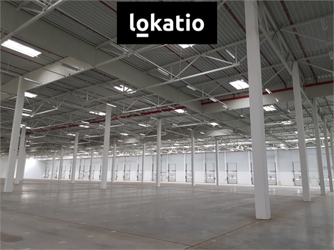 Pronájem skladu / haly, 6 552 m² - 6
