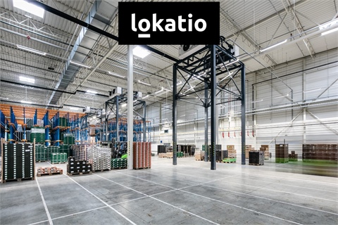Pronájem skladu / haly, 3 327 m² - 6