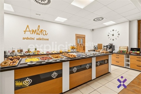 Prodej bytu 2+1, 83 m² - 22