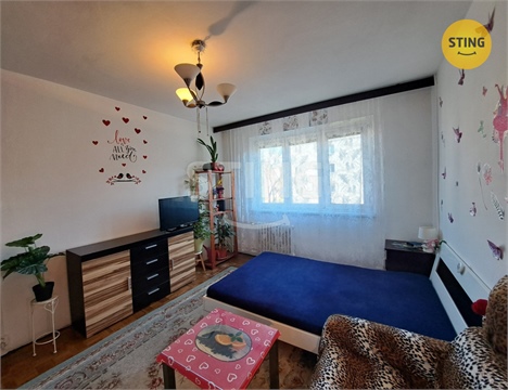 Prodej bytu 1+1, 30 m² - 10