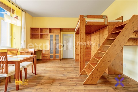 Prodej bytu 1+1, 46 m² 10