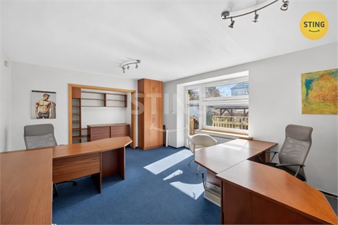 Prodej vily, 292 m² - 10