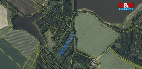 Prodej lesu, 6 834 m² 2