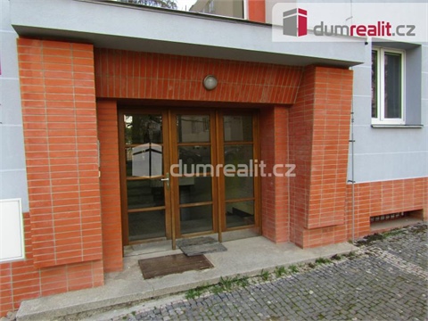 Pronájem bytu 2+1, 55 m² 8