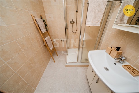 Prodej bytu 3+1, 65 m² - 12