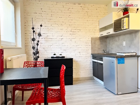 Pronájem bytu 1kk, 18 m² 4