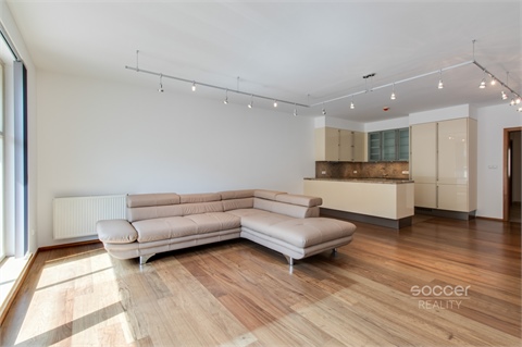 Pronájem bytu 4kk, 156 m² - 14