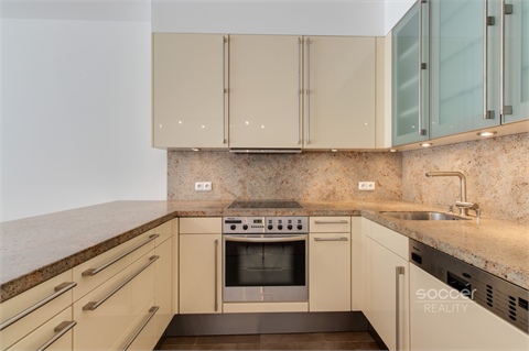 Pronájem bytu 4kk, 156 m² 14