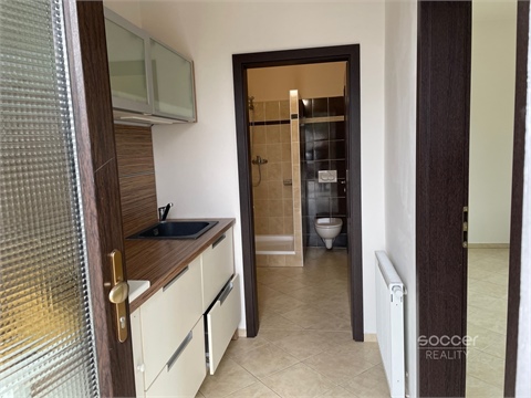 Pronájem bytu 1kk, 20 m² 2
