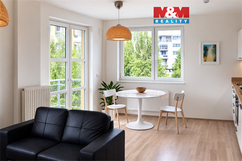 Prodej bytu 1kk, 32 m² 0