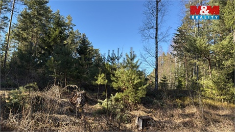 Prodej lesu, 18 382 m² - 4