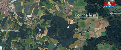 Prodej lesu, 18 382 m² - 2