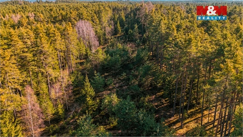Prodej lesu, 18 382 m² 4
