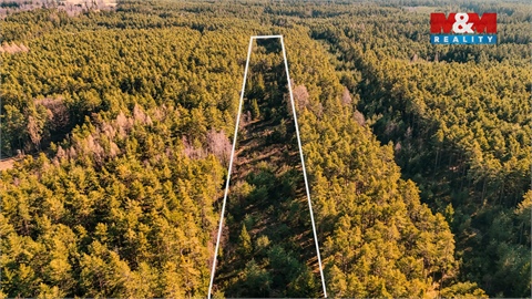 Prodej lesu, 18 382 m² 2