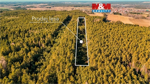 Prodej lesu, 18 382 m² 0