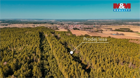 Prodej lesu, 18 382 m² - 0