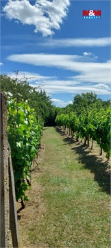 Prodej zahrady, 898 m² - 14