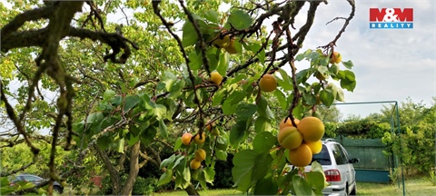 Prodej zahrady, 898 m² 20