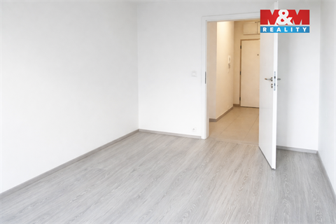 Pronájem bytu 3kk, 68 m² 4