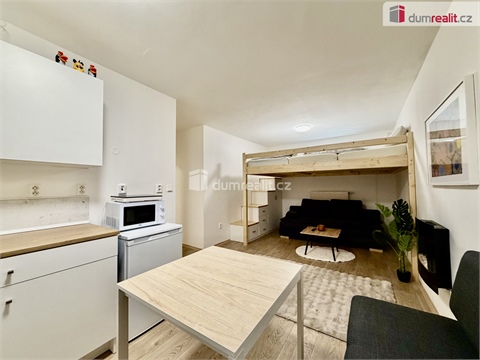 Prodej bytu 1kk, 28 m² - 4