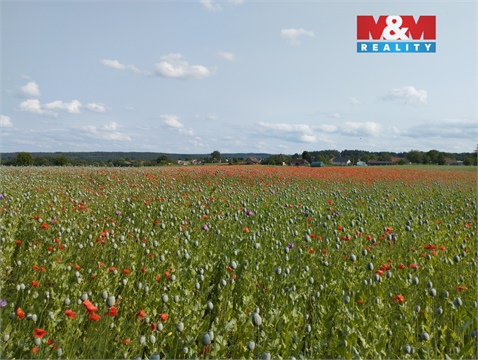 Pronájem chaty / chapuly, 387 m² 18