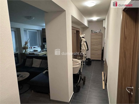 Pronájem bytu 3kk, 62 m² 6