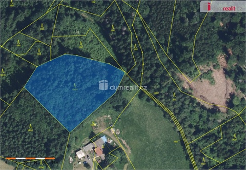 Prodej lesu, 4 773 m² 0