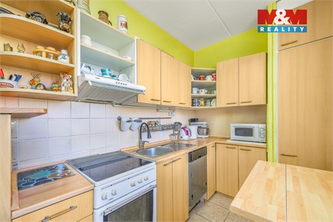 Prodej bytu 3+1, 57 m² 4