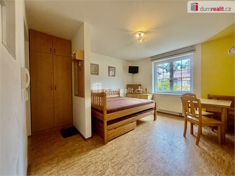 Pronájem bytu 1kk, 25 m² 12