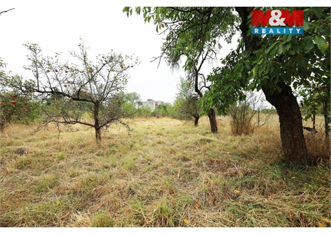 Prodej zahrady, 2 281 m² 6